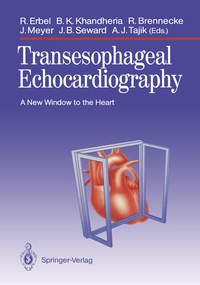 Bild: Transesophageal Echocardiography - Springer