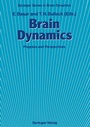 Cover: Brain Dynamics - Springer