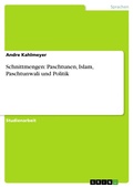 Cover: Schnittmengen: Paschtunen, Islam, Paschtunwali und Politik - GRIN Verlag