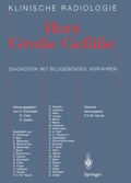 Cover: Herz Grosse Gef&auml;sse - Springer