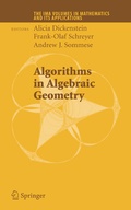 Cover: Algorithms in Algebraic Geometry - Springer