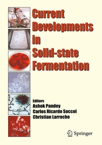 Enlarge image Cover: Current Developments in Solid-state Fermentation - Springer