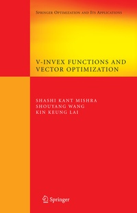 Abbildung von: V-Invex Functions and Vector Optimization - Springer