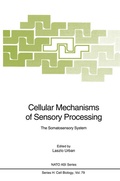 Cover: Cellular Mechanisms of Sensory Processing - Springer