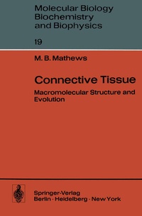 Enlarge image Cover: Connective Tissue - Springer