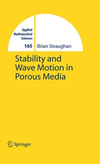 Enlarge image Cover: Stability and Wave Motion in Porous Media - Springer