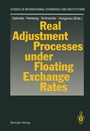 Cover: Real Adjustment Processes under Floating Exchange Rates - Springer