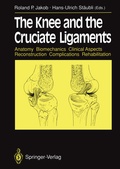Cover: The Knee and the Cruciate Ligaments - Springer