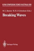 Cover: Breaking Waves - Springer