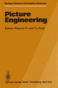 Cover: Picture Engineering - Springer