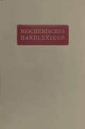 Cover: Biochemisches Handlexikon - Springer