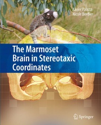 Abbildung von: The Marmoset Brain in Stereotaxic Coordinates - Springer