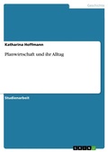 Cover: Planwirtschaft und ihr Alltag - Grin Verlag