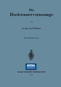 Cover: Die Hochwasservoraussage - Springer