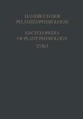 Cover: Physiology of Movements / Physiologie der Bewegungen - Springer