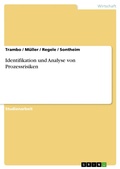 Cover: Identifikation und Analyse von Prozessrisiken - GRIN Verlag