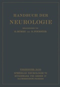 Cover: Raumbeengende Prozesse - Springer
