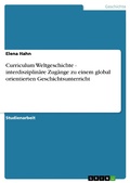 Cover: Curriculum Weltgeschichte - interdisziplin&auml;re Zug&auml;nge zu einem global orientierten Geschichtsunterricht - GRIN Verlag