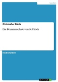 Cover: Die Brunnenschale von St.Ulrich - GRIN Verlag