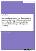 Cover: Untersuchungen zu den Sozialbeziehungen von Kalifornischen Seel&ouml;wen (Zalophus californius californius) und Seehunden (Phoca vitulina) in der Gemeinschaftshaltung des Tiergartens N&uuml;rnberg. - GRIN Verlag