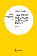 Cover: Singularities and Groups in Bifurcation Theory - Springer