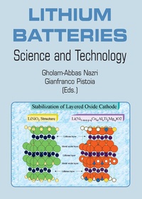Abbildung von: Lithium Batteries - Springer