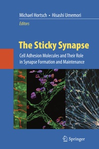 Abbildung von: The Sticky Synapse - Springer
