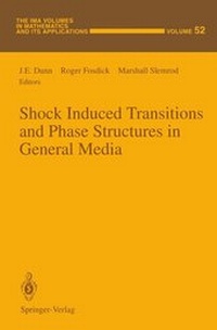 Enlarge image Cover: Shock Induced Transitions and Phase Structures in General Media - Springer