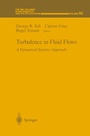 Cover: Turbulence in Fluid Flows - Springer
