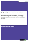 Cover: Fluorescence spectrocopy of excitation energy transfer processes in Acaryochloris marina - GRIN Verlag