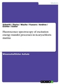 Cover: Fluorescence spectrocopy of excitation energy transfer processes in Acaryochloris marina - Grin Verlag