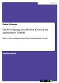 Cover: Die Versorgung psychischer Kranker im ambulanten Umfeld - Grin Verlag