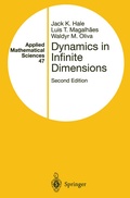 Bild: Dynamics in Infinite Dimensions - Springer