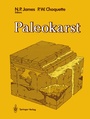 Cover: Paleokarst - Springer