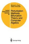 Cover: Perturbation Methods, Bifurcation Theory and Computer Algebra - Springer