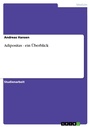 Cover: Adipositas - ein Überblick - GRIN Verlag