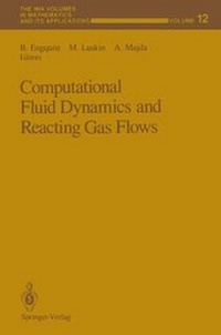 Enlarge image Cover: Computational Fluid Dynamics and Reacting Gas Flows - Springer