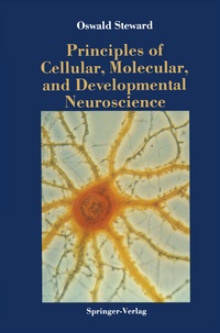 Abbildung von: Principles of Cellular, Molecular, and Developmental Neuroscience - Springer