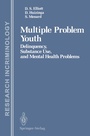Cover: Multiple Problem Youth - Springer