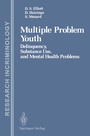 Cover: Multiple Problem Youth - Springer