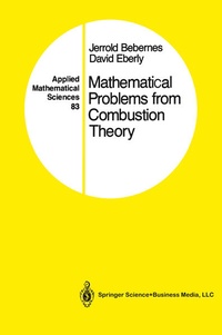 Enlarge image Cover: Mathematical Problems from Combustion Theory - Springer