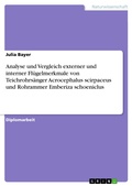 Cover: Analyse und Vergleich externer und interner Fl&uuml;gelmerkmale von Teichrohrs&auml;nger Acrocephalus scirpaceus und Rohrammer Emberiza schoeniclus - GRIN Verlag