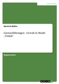 Cover: Grenzerfahrungen - Gewalt in Musils "Toerless" - Grin Verlag
