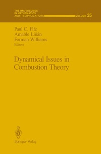 Abbildung von: Dynamical Issues in Combustion Theory - Springer
