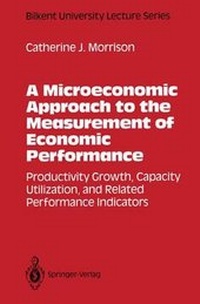 Enlarge image Cover: A Microeconomic Approach to the Measurement of Economic Performance - Springer