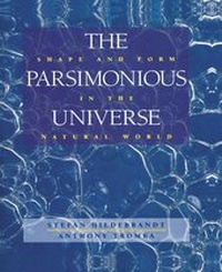 Abbildung von: The Parsimonious Universe - Springer