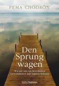 Cover: Den Sprung wagen - Arkana