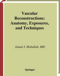 Enlarge image Cover: Vascular Reconstructions - Springer