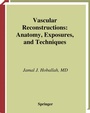 Cover: Vascular Reconstructions - Springer