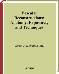 Enlarge image Cover: Vascular Reconstructions - Springer
